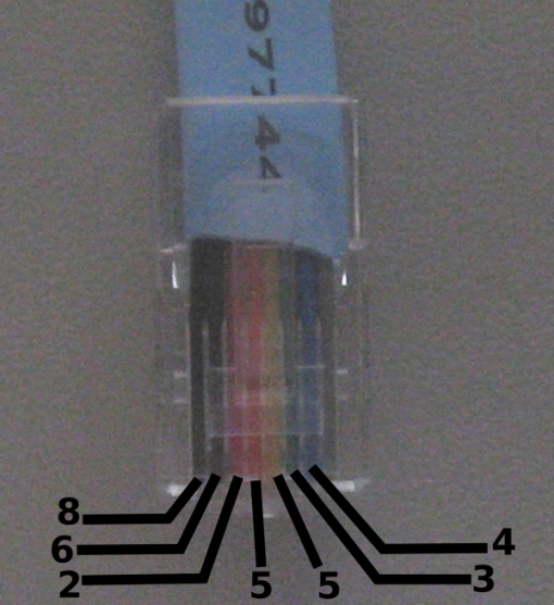 Cisco RJ45 plug
